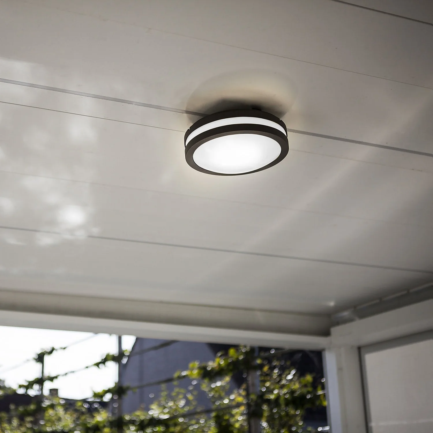 Lutec Titan LED Outdoor Wall/Ceiling Light - Anthracite - Image 4