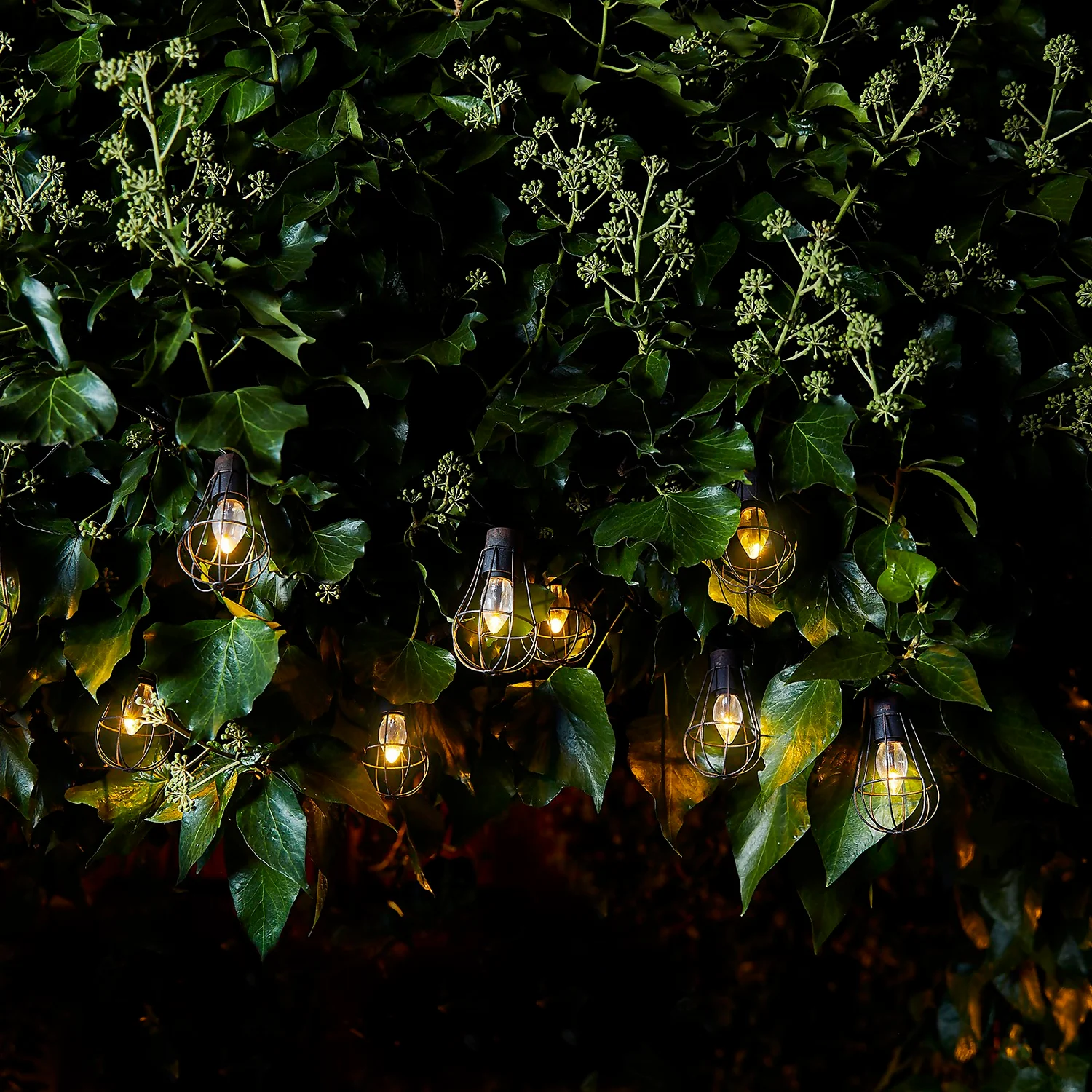 Homebase Edit 10 Metal Solar Cage Lights