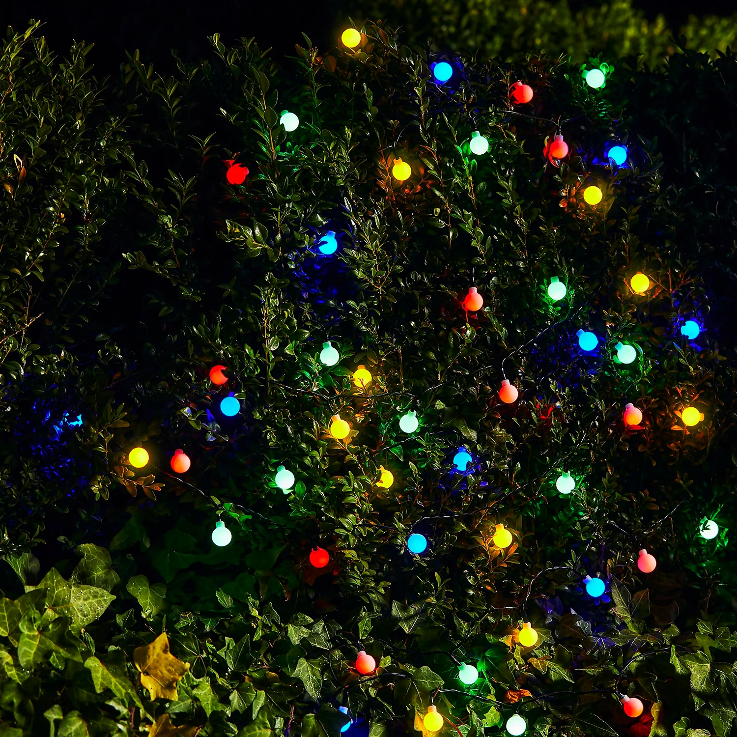 Homebase Edit 50 Solar Berry Lights